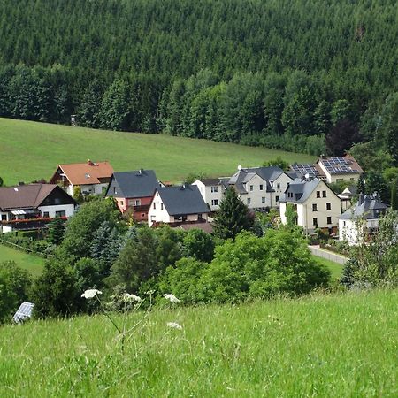 Ferienwohnung "Am Vaterlandsgrubenweg" Oelsnitz  Eksteriør bilde